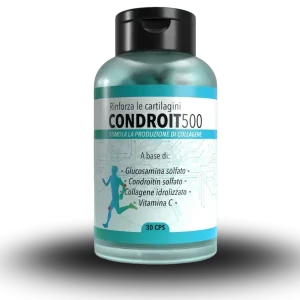 Condroit500 capsule